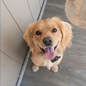 Meet your Posher, Taylor